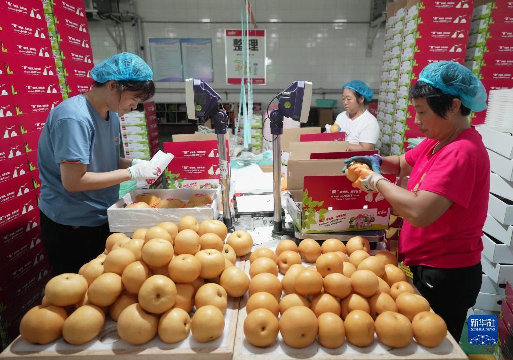 禅游游戏捕鱼
